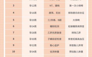 整个孕期究竟需要检查几次？不同阶段检查项目有何差异？