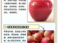 孕期一天只吃一个苹果，胎儿营养够吗？孕妇健康会受影响吗？