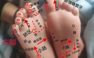 儿童脚底发黄是缺乏营养还是疾病信号？需警惕哪些潜在问题？