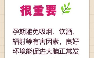 怀孕期间哪些因素会影响胎儿智力发育？