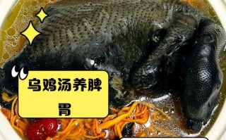 孕期出血时喝乌鸡汤是进补还是风险？饮食安全需谨慎！