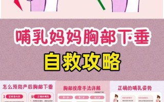 孕期乳房下垂风险高，有哪些科学方法能有效预防？