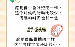 孕期6个月胎动不明显，是宝宝发育异常还是我的感知出了问题？