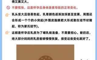 孕期乳晕发硬是正常生理变化还是异常信号？需警惕哪些潜在问题？