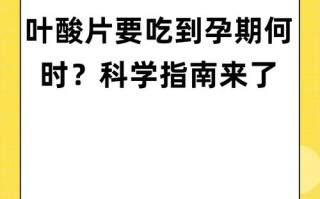 孕期吃叶酸片到底要吃多久？不同阶段需求有何不同？