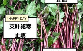 怀孕期间用艾叶泡脚或泡澡真的安全吗？会对胎儿有影响吗？