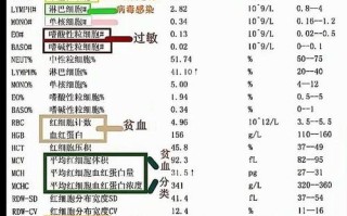 4岁儿童血常规正常值范围是多少？不同指标异常可能预示哪些健康问题？