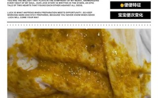 新生儿母乳便便图，不同阶段性状差异大，怎样算正常需警惕哪些异常？