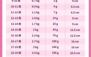 孕期体重每月增长标准到底是多少？不同孕月增长范围有何差异？
