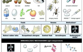 新生儿查过敏源到底准不准？不同月龄宝宝该怎么做？