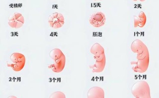 新生儿从出生到生后多久才算真正脱离新生儿期？