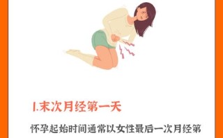 孕期从什么时间开始算