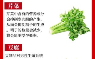 男人备孕期间哪些食物不能吃？