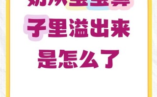 新生儿从鼻子往外溢奶是正常现象还是异常信号？需警惕哪些潜在风险？