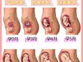 孕最后一个月胎儿到底能长多少？