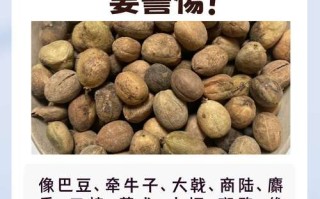 孕期服中药，对胎儿有影响吗？