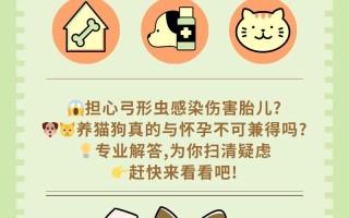 怀孕期间能接触宠物吗