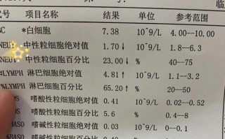 孕期中性粒细胞比率高