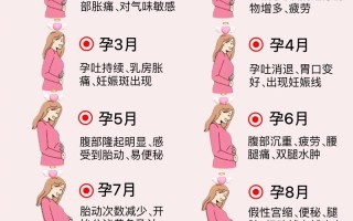 怀孕期间会再次怀孕吗？