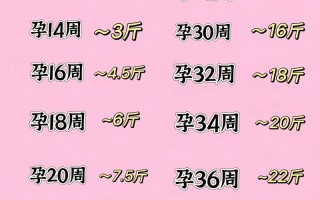 整个孕期体重增长多少