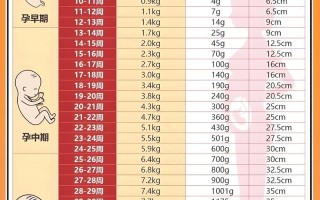 孕期体重平均增加多少才合适？不同孕周该如何科学控制？