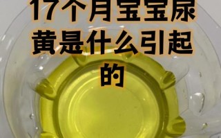 新生儿尿黄是上火还是疾病信号？需警惕哪些潜在健康问题？