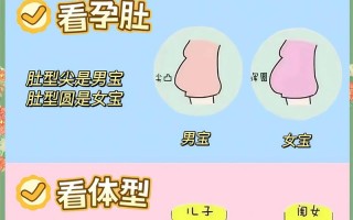 怀孕期间如何分辨男女？这些方法真的靠谱吗？