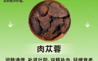 备孕期吃肉苁蓉真的安全吗？对孕妇和胎儿有影响吗？