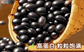 怀孕期间喝豆奶粉对胎儿发育有影响吗？孕妇该如何科学饮用？