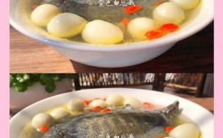 备孕期间喝甲鱼汤会影响受孕吗？营养专家解答饮食禁忌与科学备孕指南