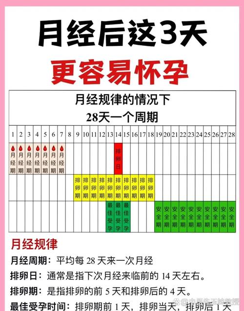 女人最佳受孕期是排卵前后几天？-第3张图片-郑州医学网