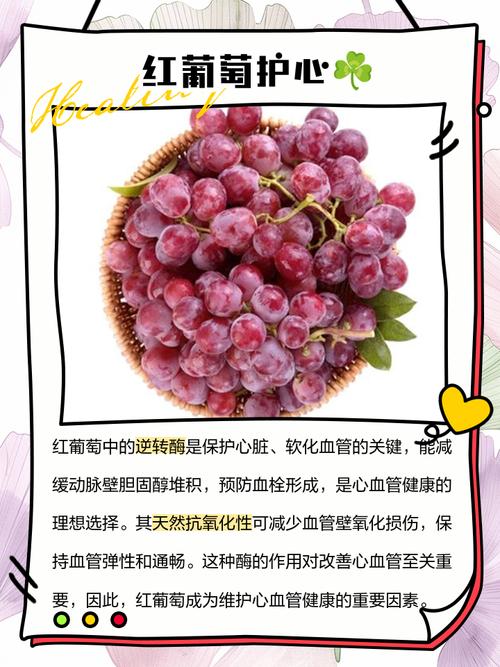 孕期吃葡萄的好处和坏处-第2张图片-郑州医学网 孕期吃葡萄的好处和坏处-第2张图片-郑州医学网