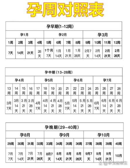 孕期28周要做什么检查-第1张图片-郑州医学网 孕期28周要做什么检查-第1张图片-郑州医学网