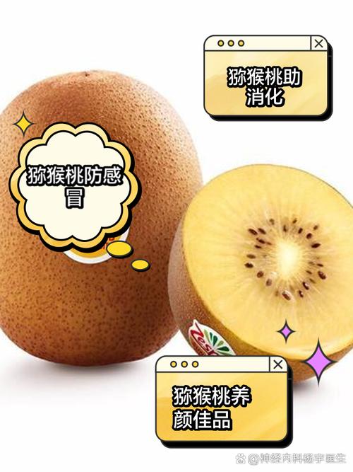 孕期吃奇异果,到底有哪些好处?-第1张图片-郑州医学网 孕期吃奇异果,到底有哪些好处?-第1张图片-郑州医学网