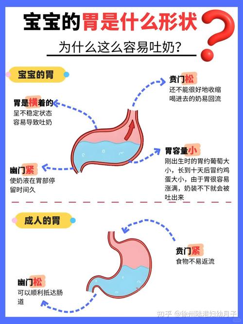 新生儿干呕吐奶是何原因？-第3张图片-郑州医学网