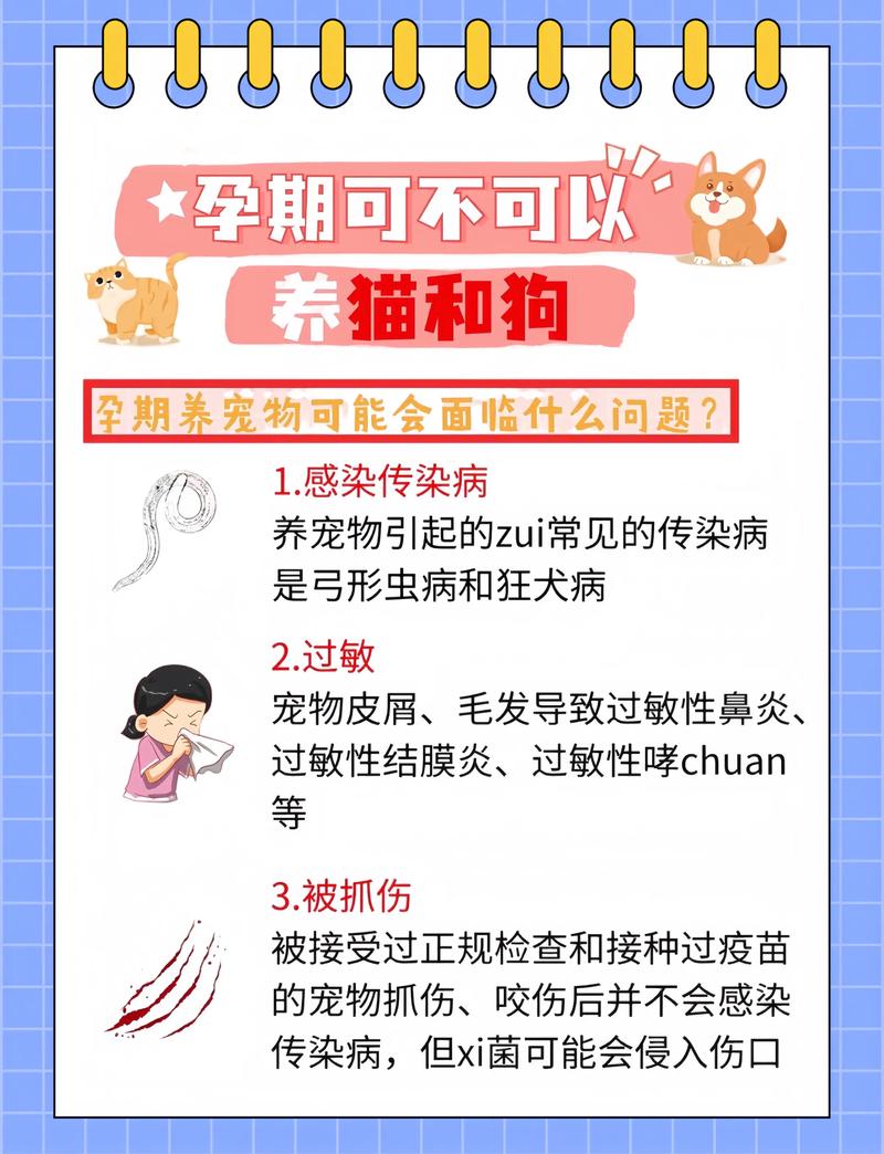 孕期感染弓形虫怎么办?-第1张图片-郑州医学网 孕期感染弓形虫怎么办?-第1张图片-郑州医学网