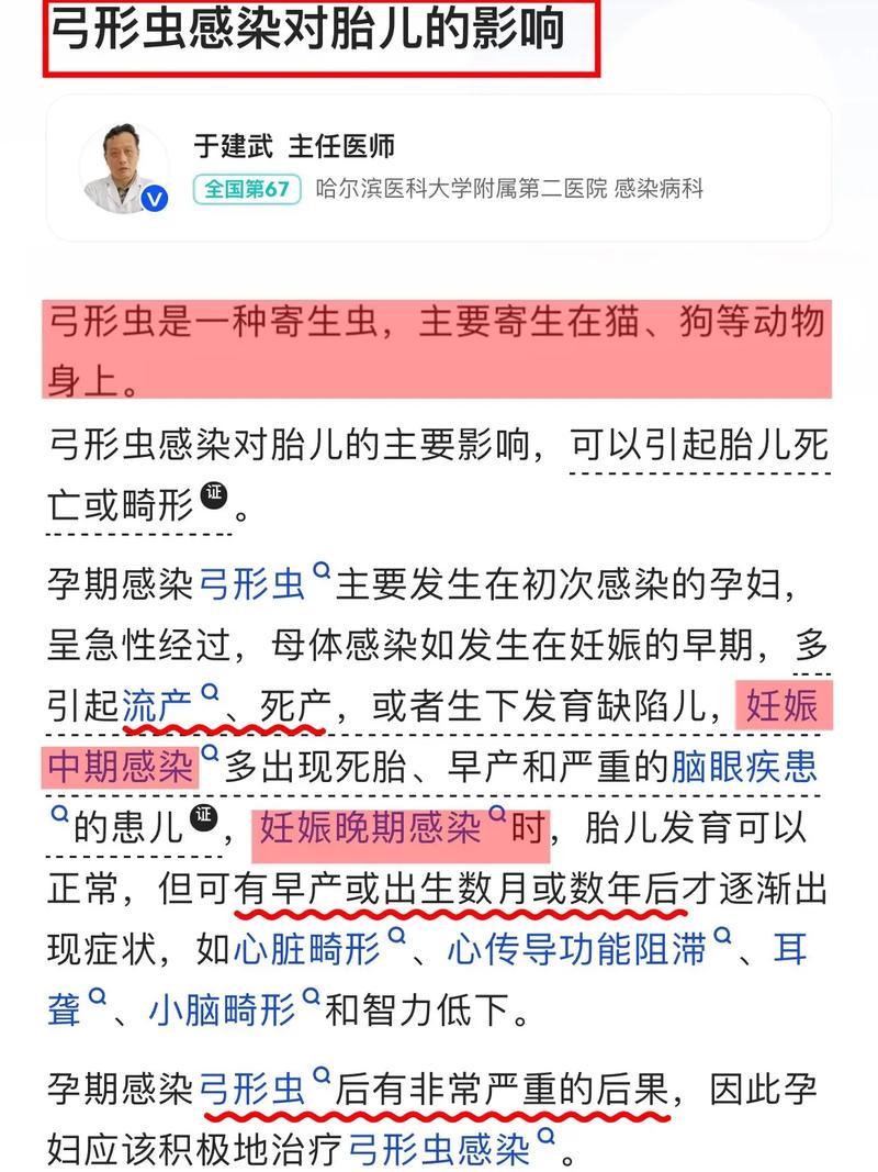 孕期感染弓形虫怎么办?-第3张图片-郑州医学网 孕期感染弓形虫怎么办?-第3张图片-郑州医学网