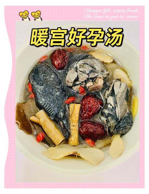 备孕能喝乌鸡汤吗？-第1张图片-郑州医学网