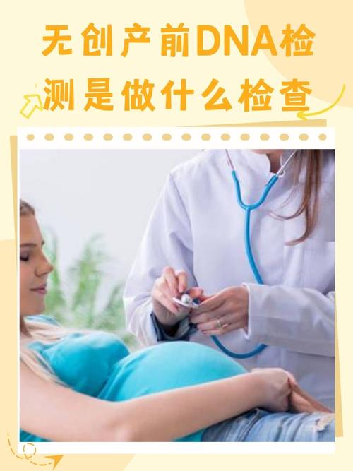 怀孕期间查DNA安全吗？时间节点咋选？-第3张图片-郑州医学网