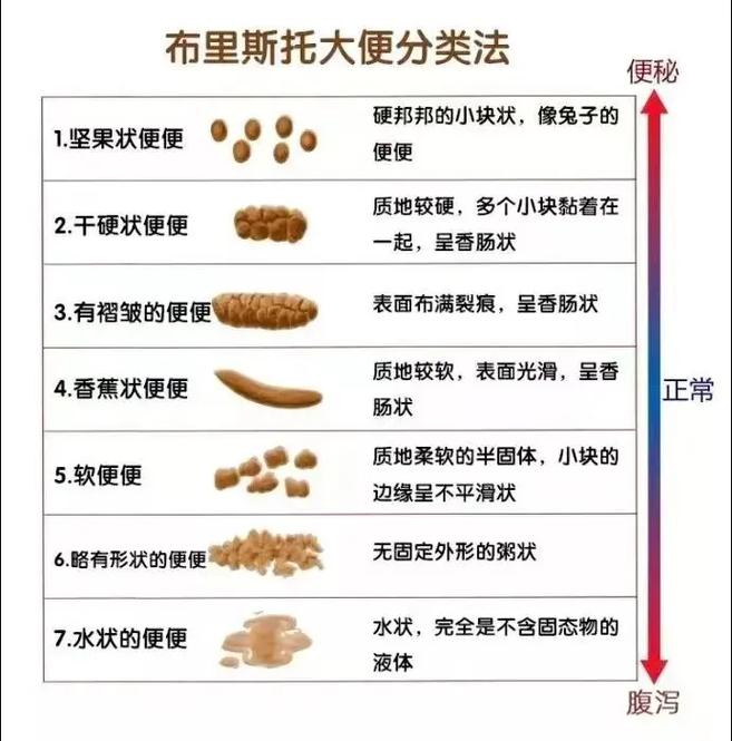 新生儿便便发绿是何原因？-第3张图片-郑州医学网