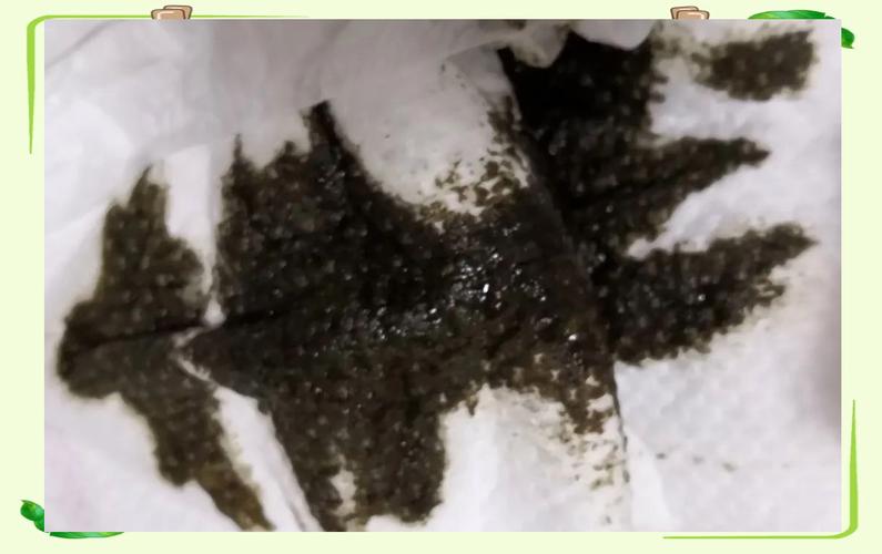 新生儿黑色便便是何原因？-第1张图片-郑州医学网