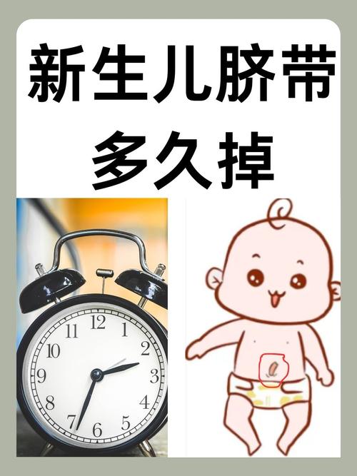 新生儿肚脐多久能完全好?-第3张图片-郑州医学网 新生儿肚脐多久能完全好?-第3张图片-郑州医学网