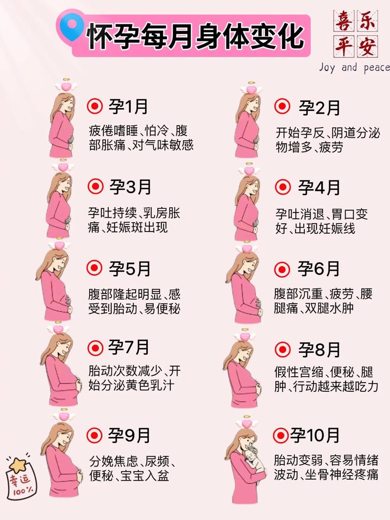 怀孕期间会再次怀孕吗？-第1张图片-郑州医学网