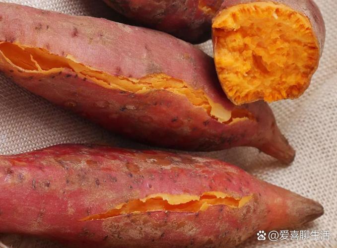 孕期血糖高能吃地瓜吗？-第3张图片-郑州医学网