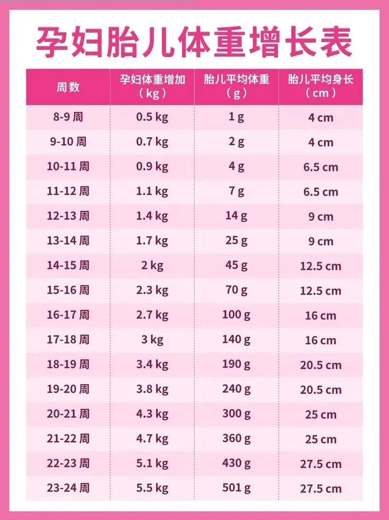 孕期哪几个月体重增长最快？-第2张图片-郑州医学网