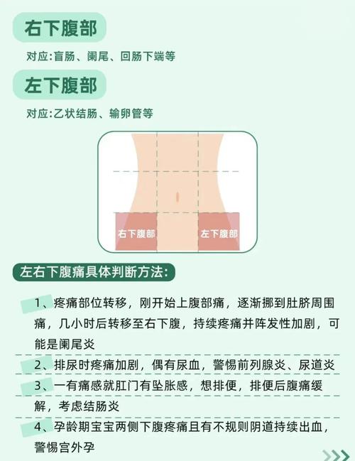 孕期左侧腹痛，是胎儿异常还是身体预警？-第3张图片-郑州医学网