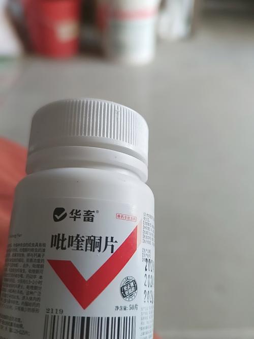 备孕期间可以吃打虫药吗-第2张图片-郑州医学网