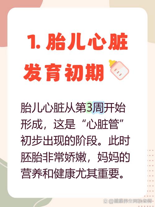 孕期几个月胎儿心脏开始发育?-第1张图片-郑州医学网 孕期几个月胎儿心脏开始发育?-第1张图片-郑州医学网