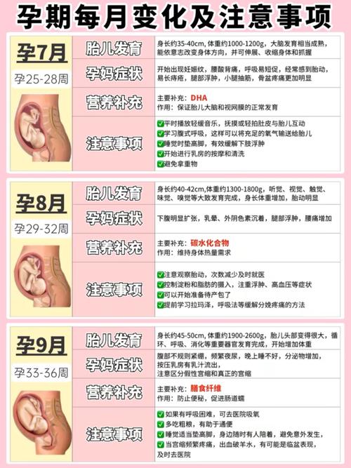 孕期几个月胎儿心脏开始发育?-第2张图片-郑州医学网 孕期几个月胎儿心脏开始发育?-第2张图片-郑州医学网