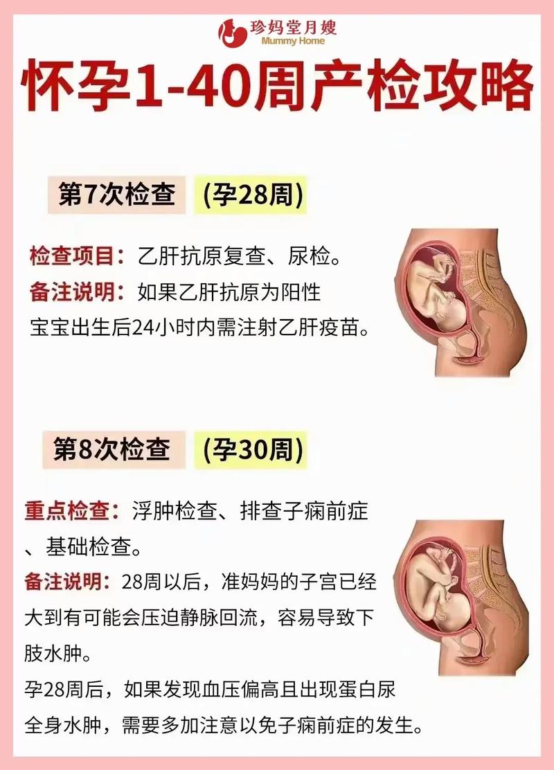 怀孕期间怎么做亲子鉴定-第3张图片-郑州医学网